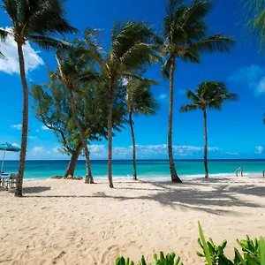 Resort Turtle Beach, A Tribute Portfolio
