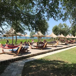 Shkodra 3*, Grilë Albania